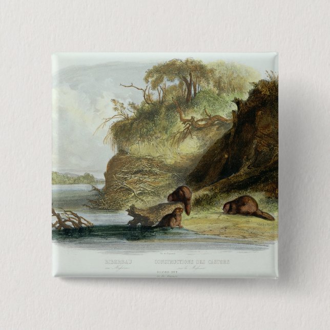 Chapa Cuadrada Beaver la choza en el Missouri, platee 17 del (Anverso)