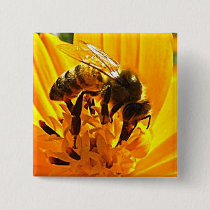 Chapa Cuadrada Bee on the Flower