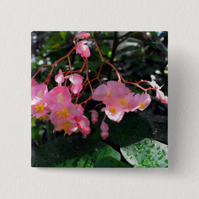 Chapa Cuadrada Begonias del ala del ángel (Anverso)