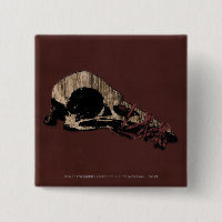 Bird Skull
