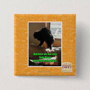 Chapa Cuadrada Bisonte del sofá