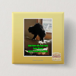 Chapa Cuadrada Bisonte del sofá
