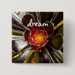 Chapa Cuadrada Black Cactus Photo Dream Cote Script Negrita Moder
