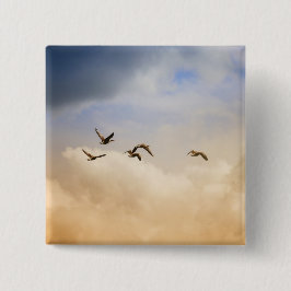 Chapa Cuadrada Bloqueo de aves en vuelo