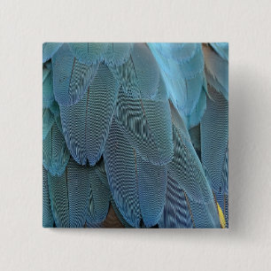 Chapa Cuadrada Blue Feather
