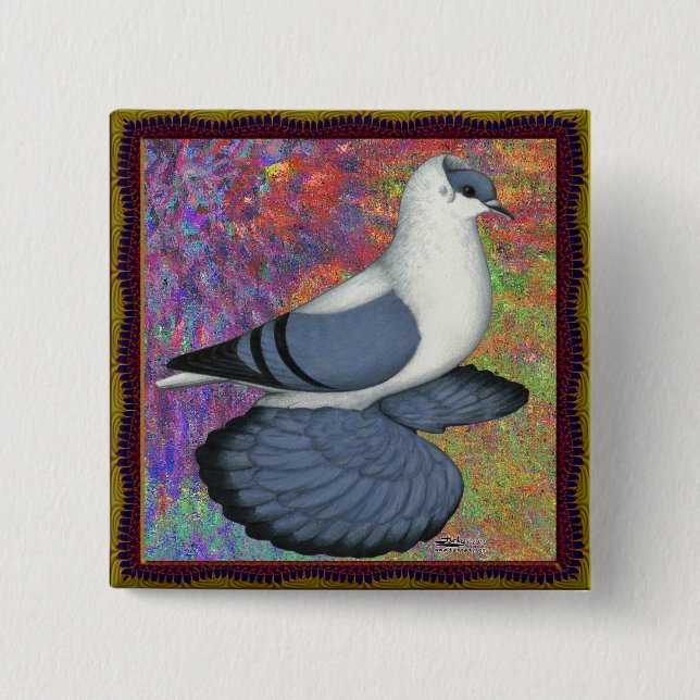 Chapa Cuadrada Blue Swallow Pigeon Framed (Anverso)