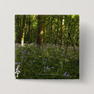Chapa Cuadrada Bluebells en un bosque