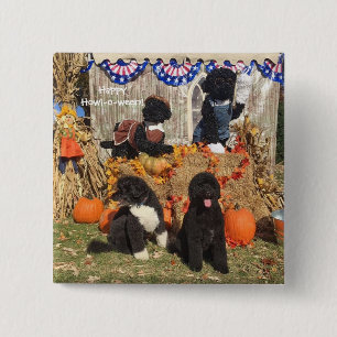 Chapa Cuadrada Bo y Sunny Halloween - Pin