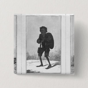 Chapa Cuadrada Bob bonito, Bob pobre, Bob Bandy, 1819