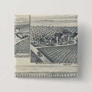 Chapa Cuadrada Bonacourt Ranch, Washington Colony, California