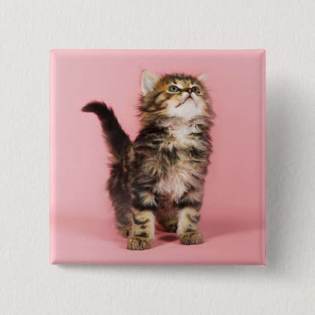 Chapa Cuadrada Bonito en gatito rosado (Anverso)