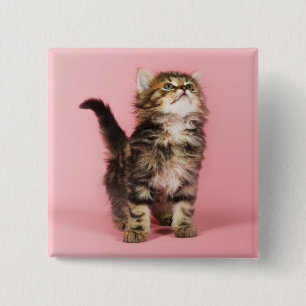 Chapa Cuadrada Bonito en gatito rosado