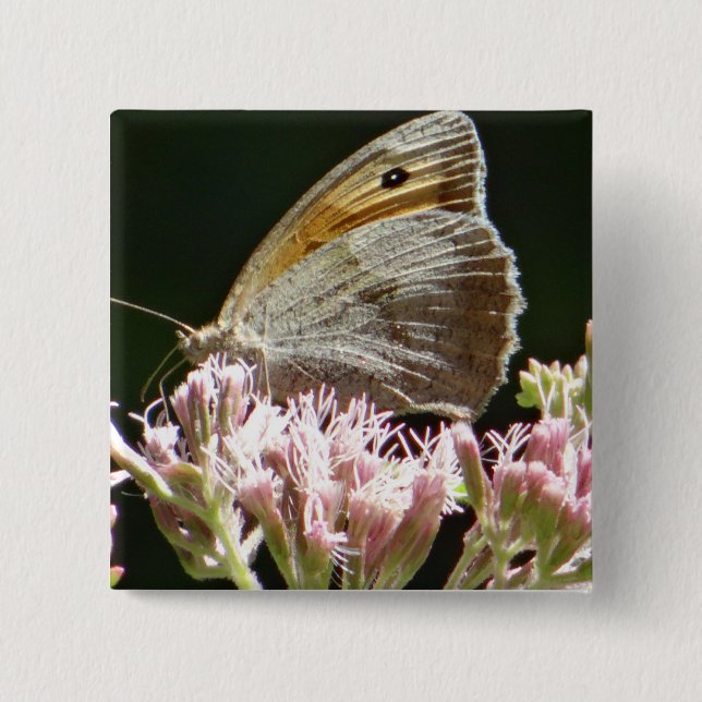 Chapa Cuadrada Bonito mariposa grande (Anverso)