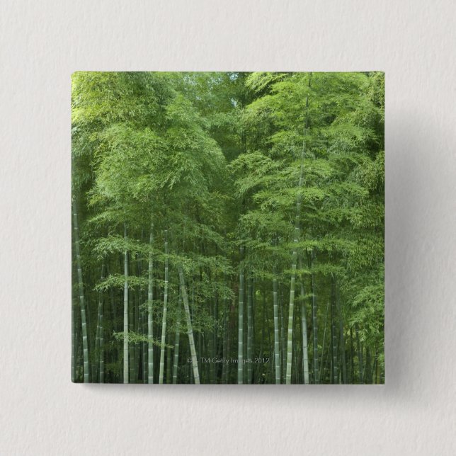 Chapa Cuadrada Bosque de bambú (Anverso)