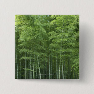 Chapa Cuadrada Bosque de bambú