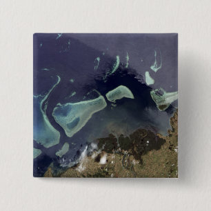 Chapa Cuadrada Bosque de color verde oscuro en tierra