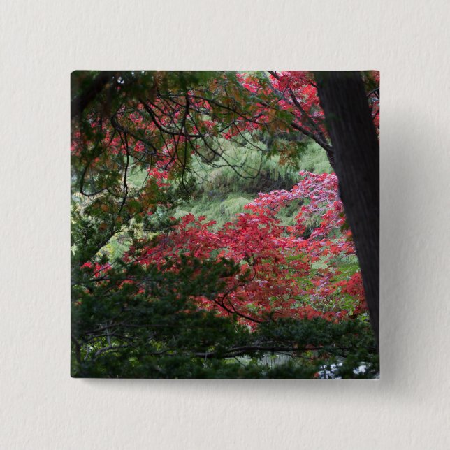 Chapa Cuadrada Bosque de otoño (Anverso)
