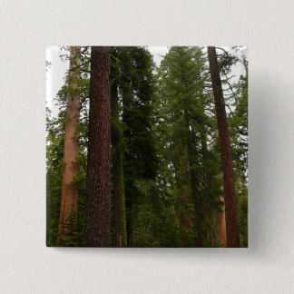 Chapa Cuadrada Bosque Mariposa en el Parque Nacional Yosemite