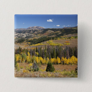 Chapa Cuadrada Bosque nacional Bridger-Teton