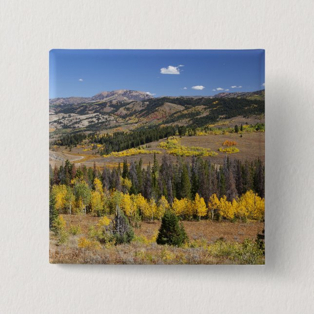 Chapa Cuadrada Bosque nacional Bridger-Teton (Anverso)