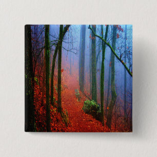 Chapa Cuadrada Bosque Pintado Niebla Azul de Otoño