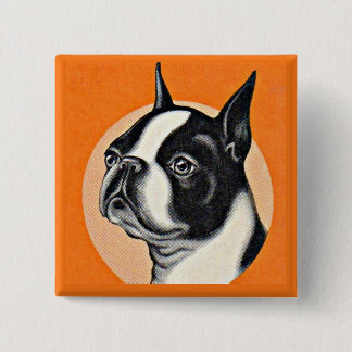 Chapa Cuadrada Boston terrier
