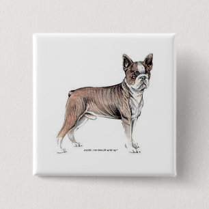Chapa Cuadrada Boston Terrier
