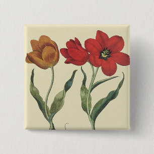 Chapa Cuadrada Botánica Vintage, Flores de Tulipán en Flor y Bulb