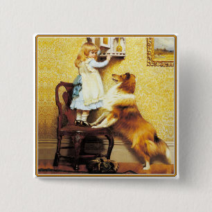 Chapa Cuadrada Botón: Un abogado especial: Chica con Sheltie