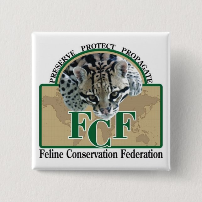 Chapa Cuadrada Botones cuadrados (Anverso)