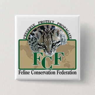 Chapa Cuadrada Botones cuadrados