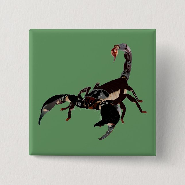 Chapa Cuadrada Botones de Skorpion (Anverso)