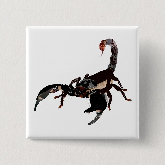 Chapa Cuadrada Botones de Skorpion (Anverso)