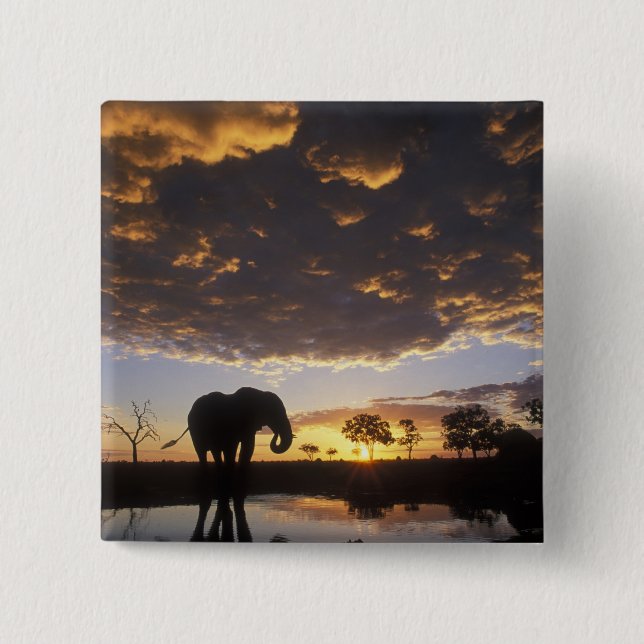 Chapa Cuadrada Botsuana, Parque Nacional Chobe, Elefante (Anverso)