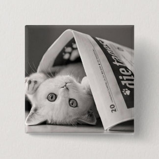 Chapa Cuadrada Botton Cat