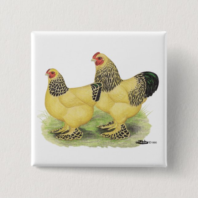 Chapa Cuadrada Brahma Buff Pair (Anverso)