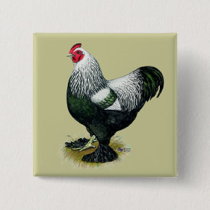 Chapa Cuadrada Brahma: Rooster oscuro