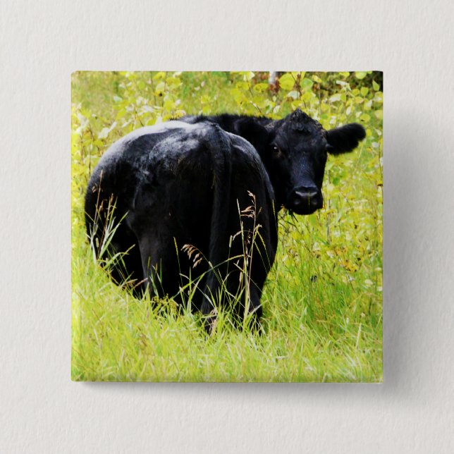 Chapa Cuadrada Buey de Angus en hierba amarilla alta (Anverso)