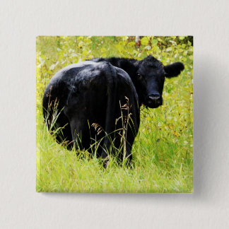 Chapa Cuadrada Buey de Angus en hierba amarilla alta