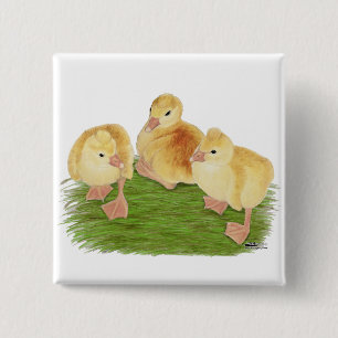 Chapa Cuadrada Buff Goslings Tufted