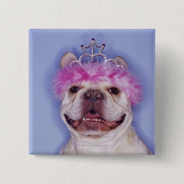 Chapa Cuadrada Bulldog con tiara (Anverso)