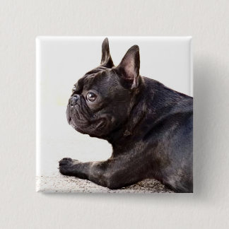 Chapa Cuadrada Bulldog francés