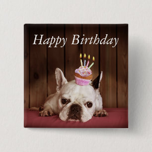 Chapa Cuadrada Bulldog francés con la magdalena del cumpleaños