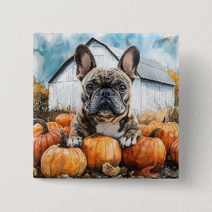 Chapa Cuadrada Bulldog francés en parche de calabaza