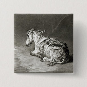 Chapa Cuadrada Burro en descanso