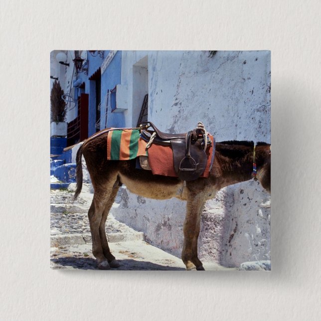 Chapa Cuadrada Burro, Fira Santorini, Grecia (Anverso)