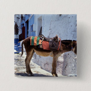 Chapa Cuadrada Burro, Fira Santorini, Grecia