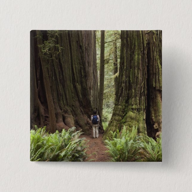 Chapa Cuadrada CA, Parque Estatal de Redwoods Jedediah Smith, (Anverso)