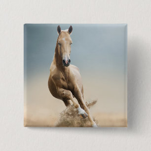 Chapa Cuadrada Caballo Akhal-Teke