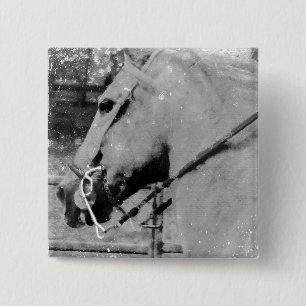 Chapa Cuadrada Caballo en blanco y negro